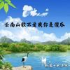 Download track 云南山歌不爱我你是傻瓜 (Dj何友版)