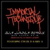 Download track Bin Laden (Remix) (Instrumental)