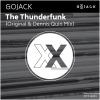 Download track The Thunderfunk (Dennis Quin Remix)