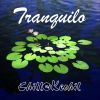 Download track Tranquilo (Bossa Mix)