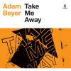 Download track Take Me Away (Alan Fitzpatrick Remix)