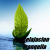 Download track Ambiental