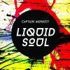 Download track Liquid Soul