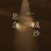 Download track 思念成沙 (伴奏)