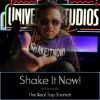 Download track Shake It Now!