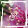 Download track 回忆那场流星雨