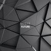 Download track Future (Radio Edit)