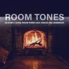 Download track Gloomy Living Room Fireplace Crackling Ambience, Pt. 16