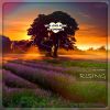 Download track Den Shender - Rising