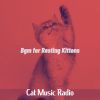 Download track Uplifting Jazz Guitar Trio - Vibe For Kittens