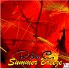 Download track Summer Breeze (Club Mix)