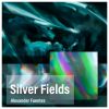 Download track Silver Fields (Original Mix)