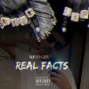 Download track Real Facts