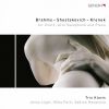 Download track Piano Trio No. 1 In C Minor, Op. 8 