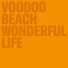 Download track Wonderful Life