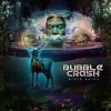 Download track Bubble Crash (Original Mix)