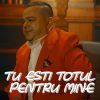 Download track TU ESTI TOTUL PENTRU MINE