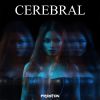 Download track Cerebral