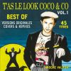 Download track T'as Le Look Coco (Ghost In The Fridge Sugar Free Mix)