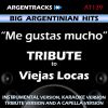 Download track Me Gustas Mucho (In The Style Of Viejas Locas) [Instrumental Version]