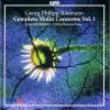 Download track 8. Violin Concerto In E Minor TWV 51: E3: I. Allegro