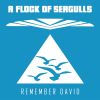 Download track Remember David (Main Extended Instrumental)