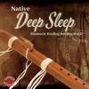 Download track Native Deep Sleep - Shamanic Healing Dreams Music