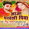 Download track Pardeshi Aaja Ye Piya