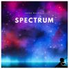 Download track Spectrum (Original Mix)