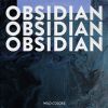 Download track Obsidian (Rain)