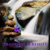 Download track Healing Harmony