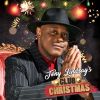 Download track The Christmas Song, Chestnuts Roasting