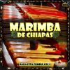 Download track Caballo De La Sabana