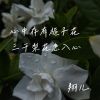 Download track 心中存有栀子花 三千梨花怎入心 (伴奏)