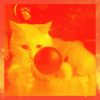 Download track Tremendous Music For Home With Cats