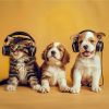 Download track Paws And Relax Melody