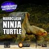 Download track Turtle