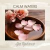 Download track Calm Desert Whispers