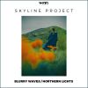 Download track Northern Lights