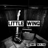 Download track Little Wing