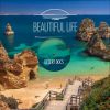 Download track Beautiful Life (Georgie's Funky Naked Dub)