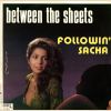 Download track Following Sacha (For Ours Friends D. J.)