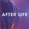 Download track After Life (Instrumental)