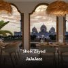 Download track Sheik Zayed