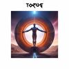 Download track Torus