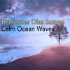 Download track Waves: Waves On The Beach