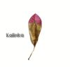 Download track Kalinka