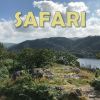 Download track Safari (Long Treatment)