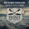 Download track White Dolphins (Extended Mix)