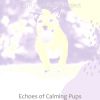 Download track Amazing Backdrops For Calming Pups